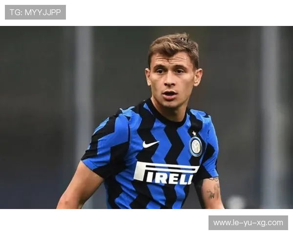 巴雷拉:意大利中场核心,未来足坛的璀璨新星 巴雷拉:意大利中场核心,未来足坛的璀璨新星